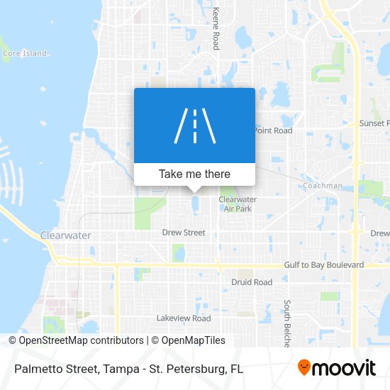 Palmetto Street map