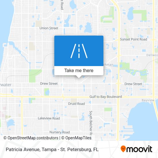 Mapa de Patricia Avenue