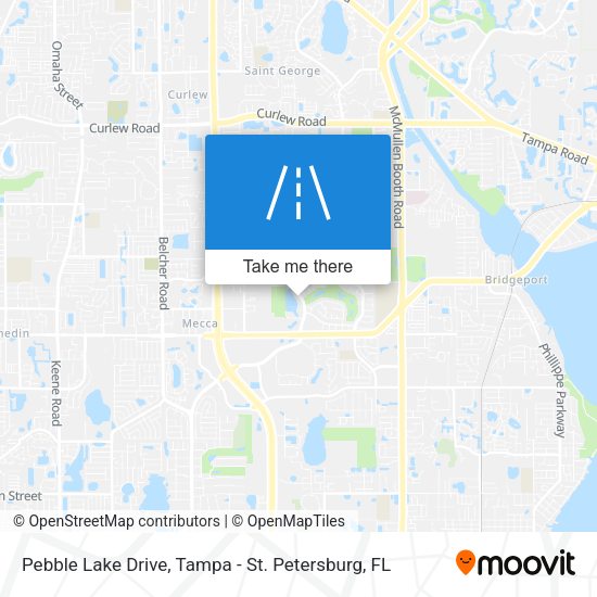 Mapa de Pebble Lake Drive