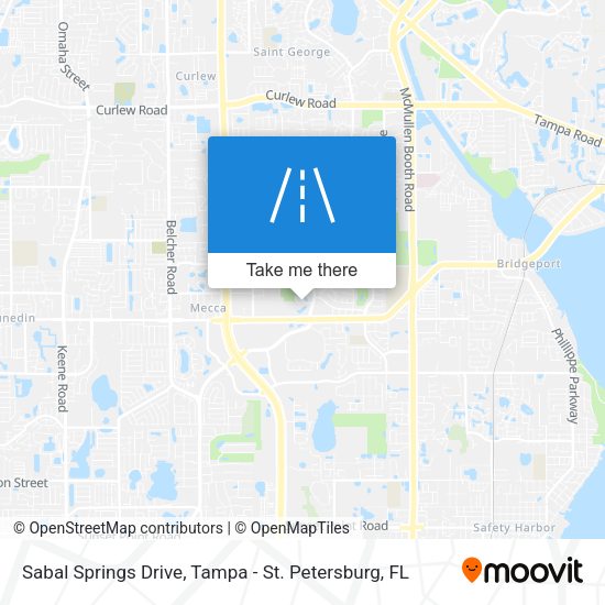 Mapa de Sabal Springs Drive
