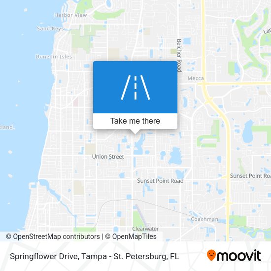 Mapa de Springflower Drive