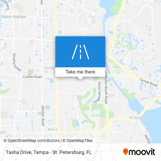 Tasha Drive map