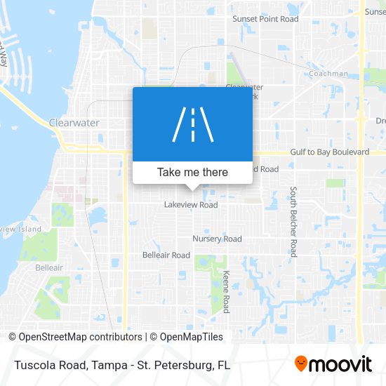 Tuscola Road map