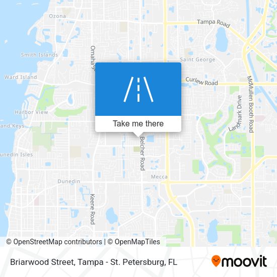 Briarwood Street map