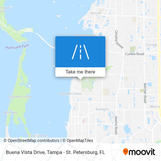 Mapa de Buena Vista Drive