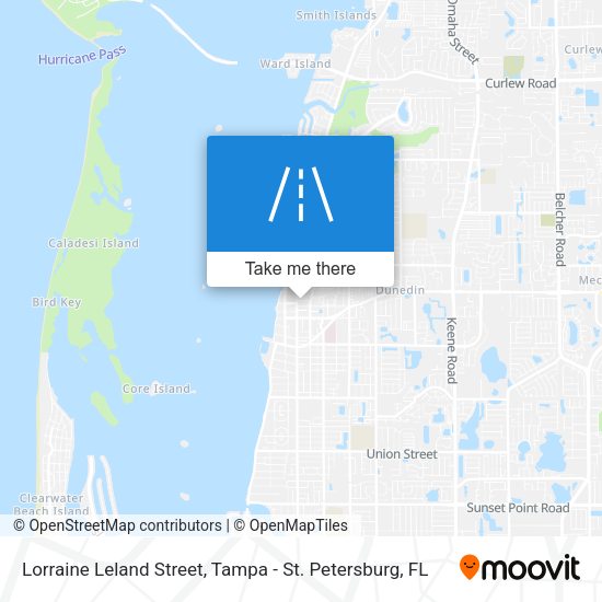 Lorraine Leland Street map