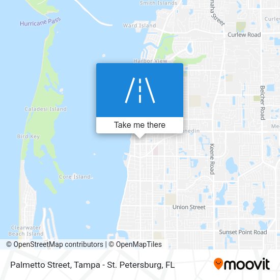 Mapa de Palmetto Street