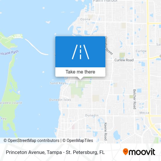 Mapa de Princeton Avenue
