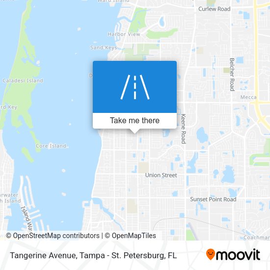 Tangerine Avenue map