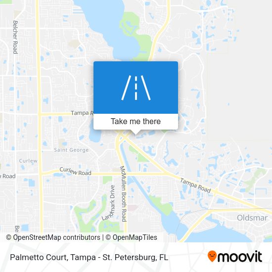Palmetto Court map