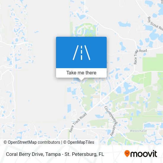 Coral Berry Drive map