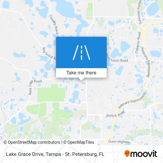 Mapa de Lake Grace Drive
