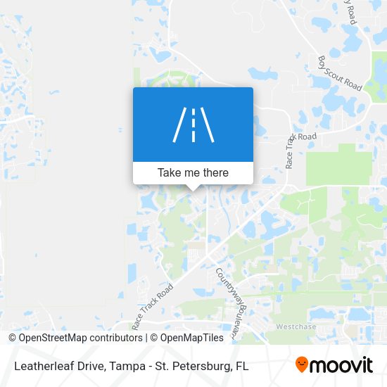 Leatherleaf Drive map
