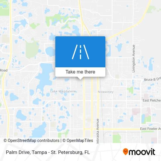 Palm Drive map