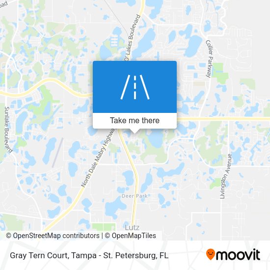 Gray Tern Court map