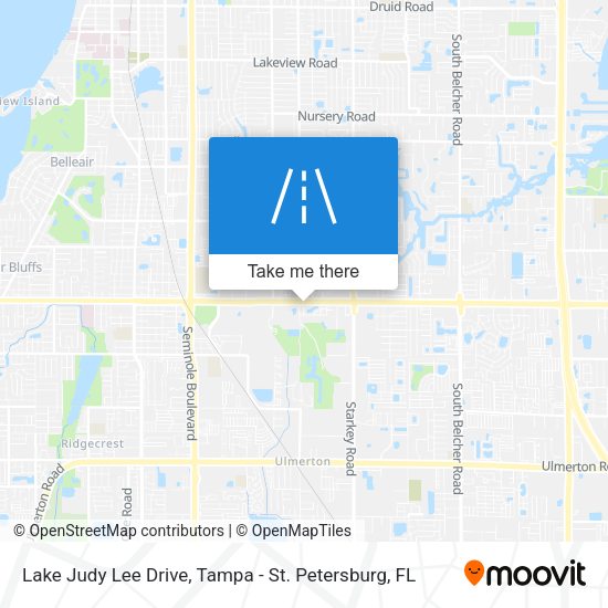 Lake Judy Lee Drive map