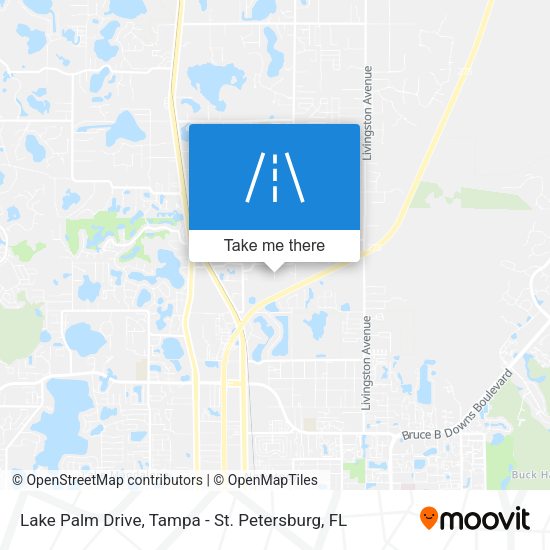 Mapa de Lake Palm Drive