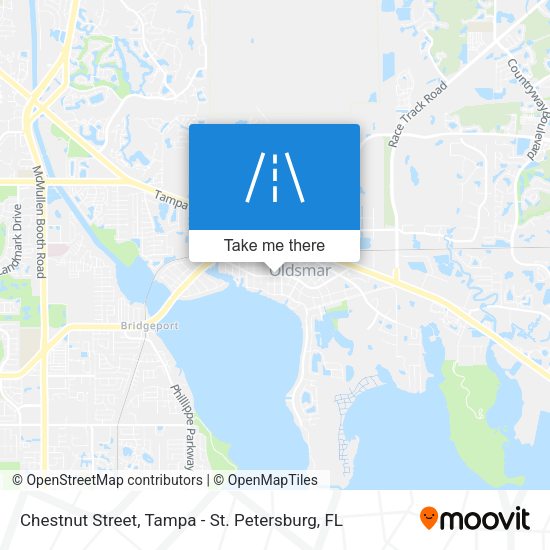Mapa de Chestnut Street