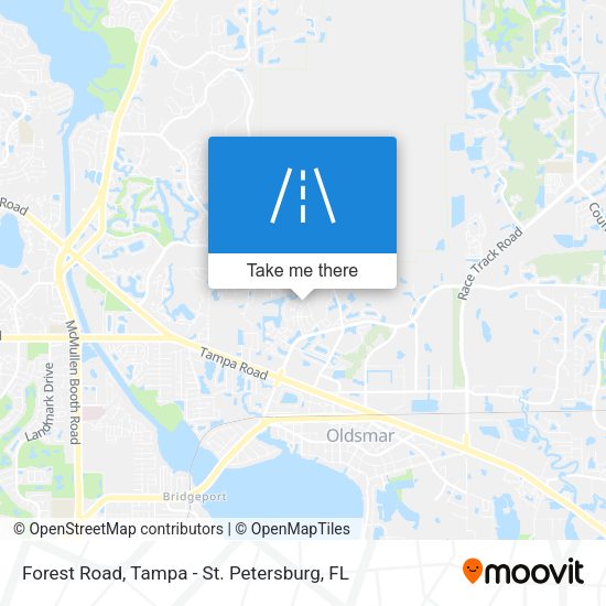Forest Road map