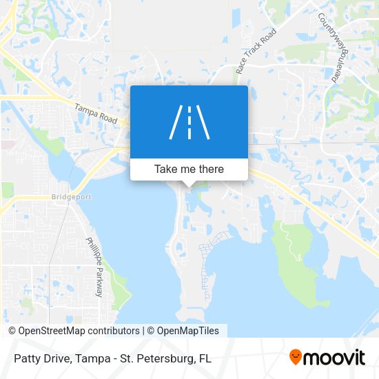 Patty Drive map