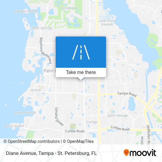 Mapa de Diane Avenue