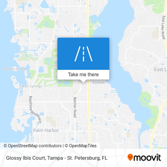 Glossy Ibis Court map