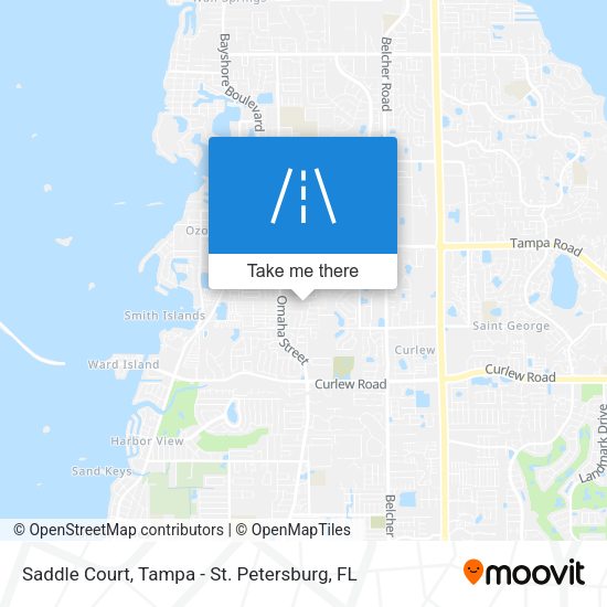 Saddle Court map