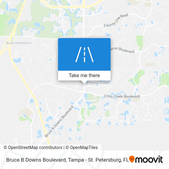 Bruce B Downs Boulevard map