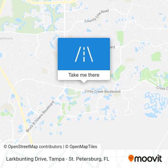 Mapa de Larkbunting Drive