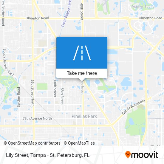 Lily Street map