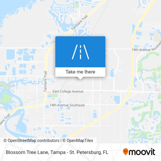 Blossom Tree Lane map