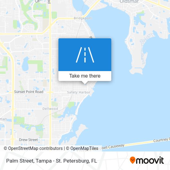 Palm Street map