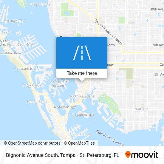 Bignonia Avenue South map