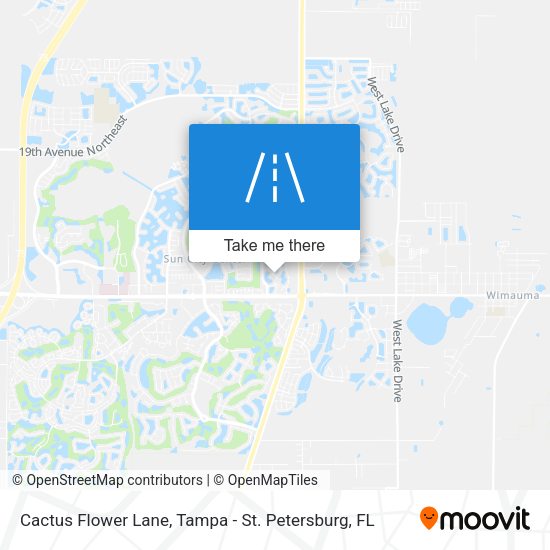 Mapa de Cactus Flower Lane