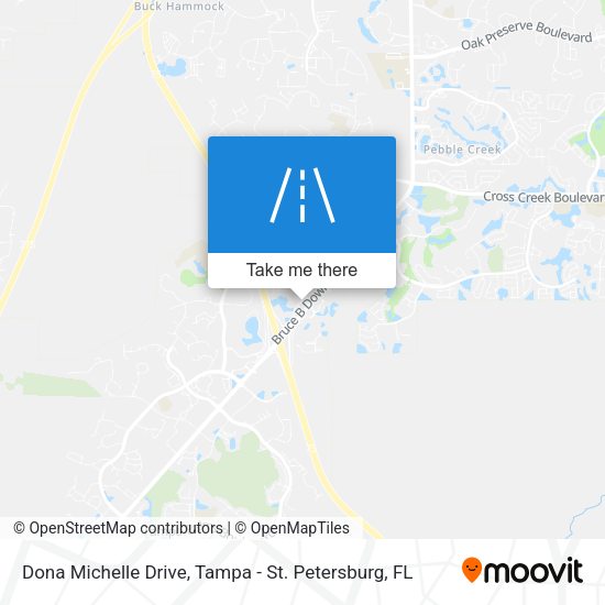 Dona Michelle Drive map