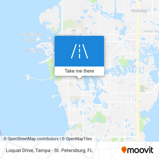 Loquat Drive map