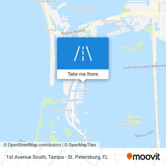 1st Avenue South map
