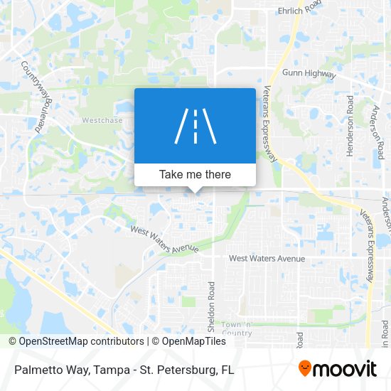 Palmetto Way map
