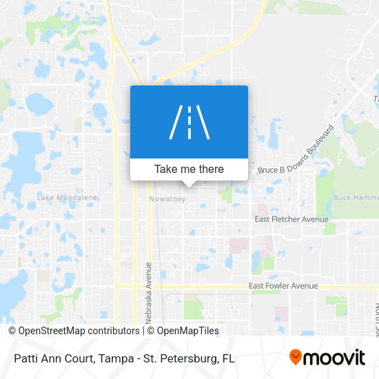 Patti Ann Court map