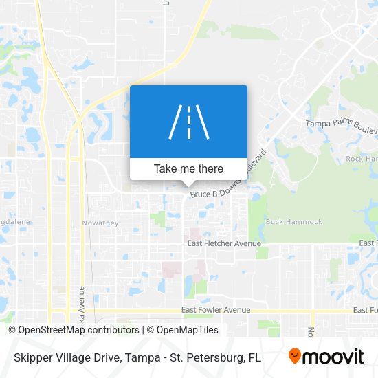 Mapa de Skipper Village Drive