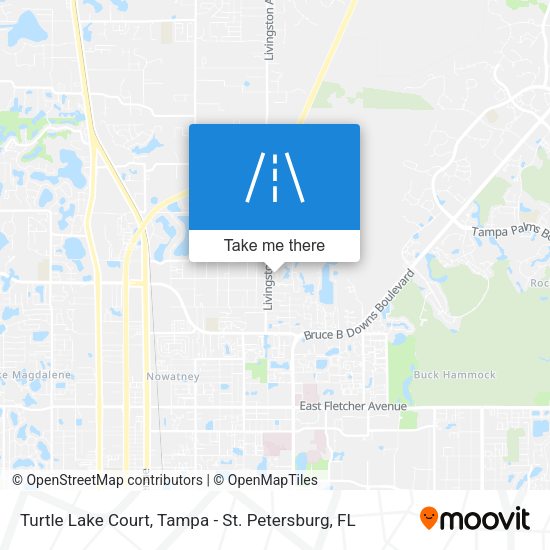Mapa de Turtle Lake Court