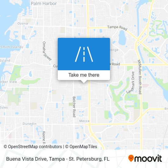 Mapa de Buena Vista Drive