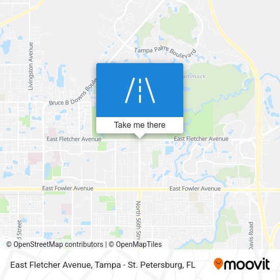 East Fletcher Avenue map