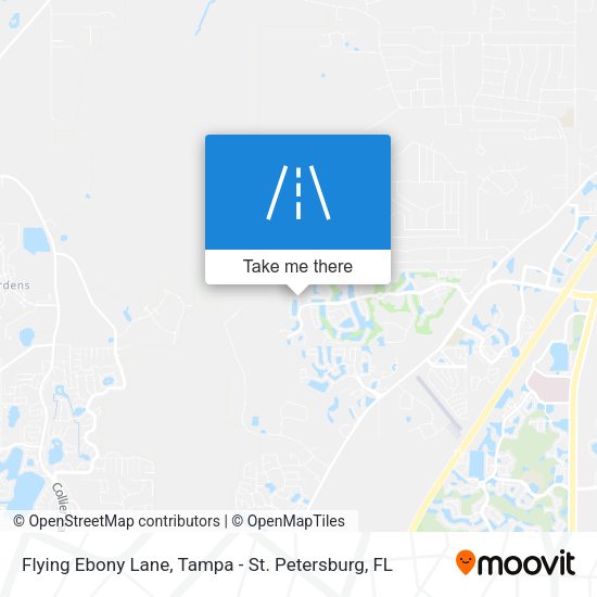 Flying Ebony Lane map