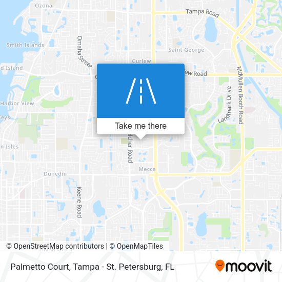 Mapa de Palmetto Court