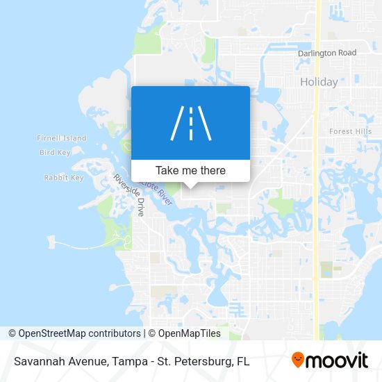 Savannah Avenue map