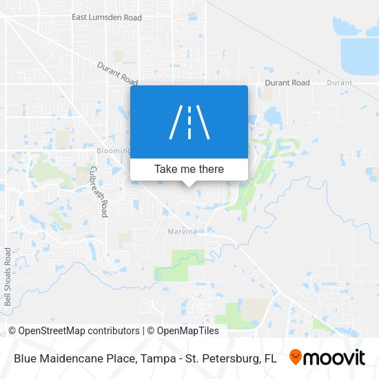 Mapa de Blue Maidencane Place