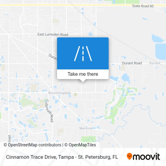 Mapa de Cinnamon Trace Drive