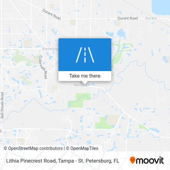 Mapa de Lithia Pinecrest Road