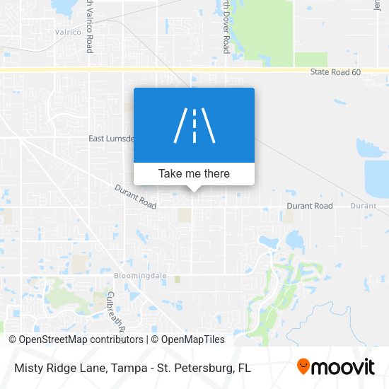 Mapa de Misty Ridge Lane
